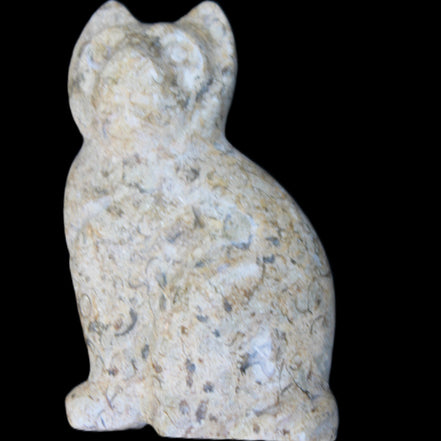Fossil rock hand-carved Cat 76*48*124mm 407g in sunlight - Rocks and Things Store