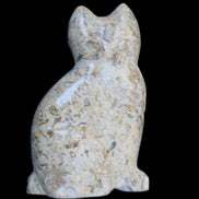 Fossil rock hand-carved Cat 76*48*124mm 407g in sunlight - Rocks and Things Store