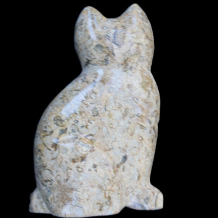 Fossil rock hand-carved Cat 76*48*124mm 407g in sunlight - Rocks and Things Store