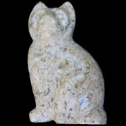 Fossil rock hand-carved Cat 76*48*124mm 407g in sunlight - Rocks and Things Store