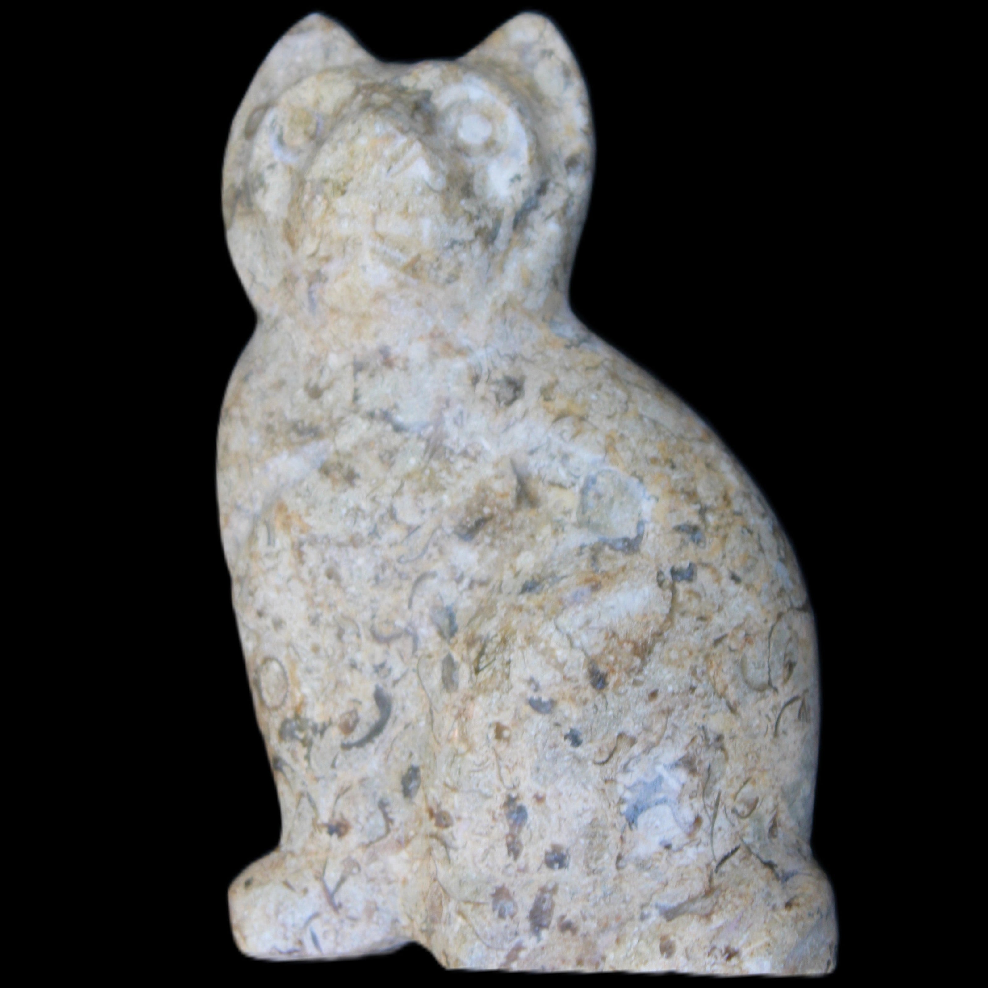Fossil rock hand-carved Cat 76*48*124mm 407g in sunlight - Rocks and Things Store