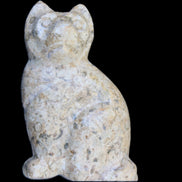 Fossil rock hand-carved Cat 76*48*124mm 407g in sunlight - Rocks and Things Store