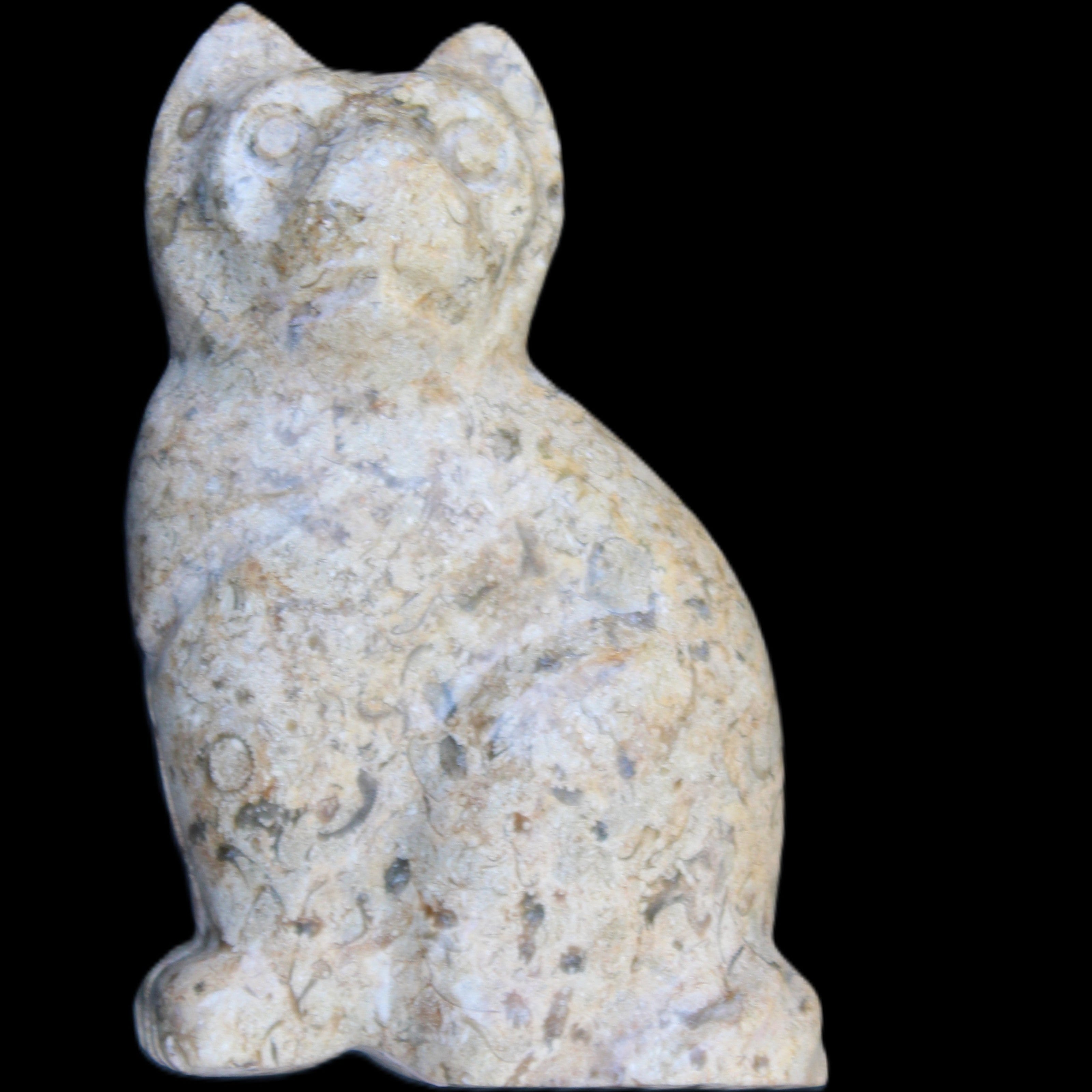 Fossil rock hand-carved Cat 76*48*124mm 407g in sunlight - Rocks and Things Store
