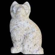 Fossil rock hand-carved Cat 76*48*124mm 407g in sunlight - Rocks and Things Store