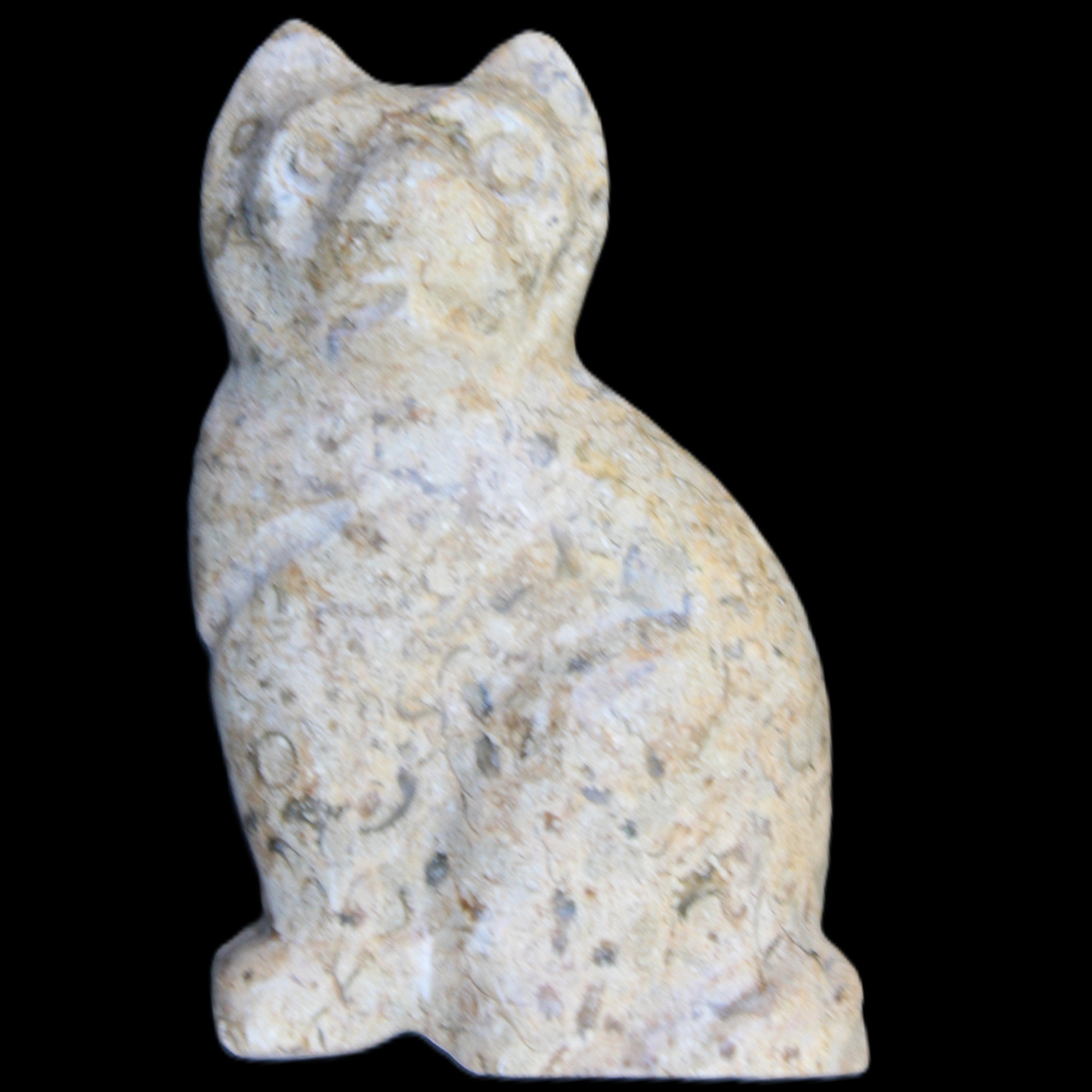 Fossil rock hand-carved Cat 76*48*124mm 407g in sunlight - Rocks and Things Store