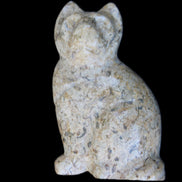 Fossil rock hand-carved Cat 76*48*124mm 407g in sunlight - Rocks and Things Store