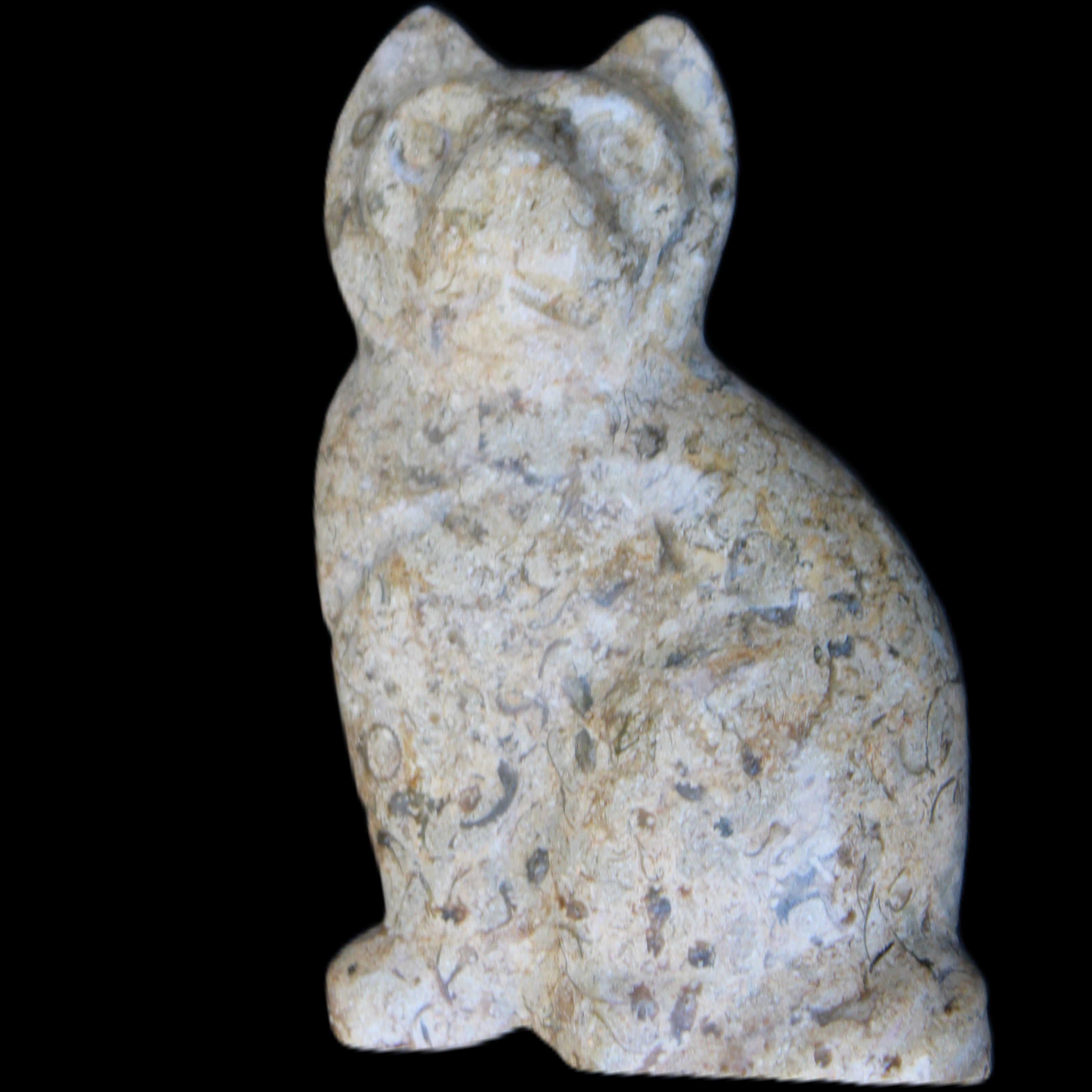 Fossil rock hand-carved Cat 76*48*124mm 407g in sunlight - Rocks and Things Store