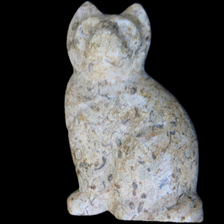 Fossil rock hand-carved Cat 76*48*124mm 407g in sunlight - Rocks and Things Store