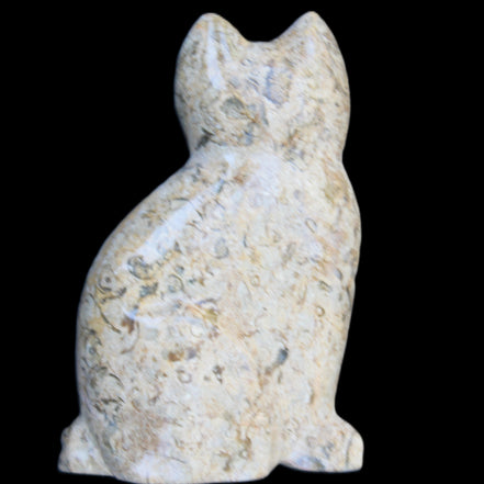 Fossil rock hand-carved Cat 76*48*124mm 407g in sunlight - Rocks and Things Store