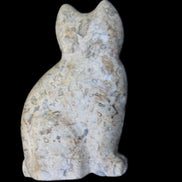 Fossil rock hand-carved Cat 76*48*124mm 407g in sunlight - Rocks and Things Store