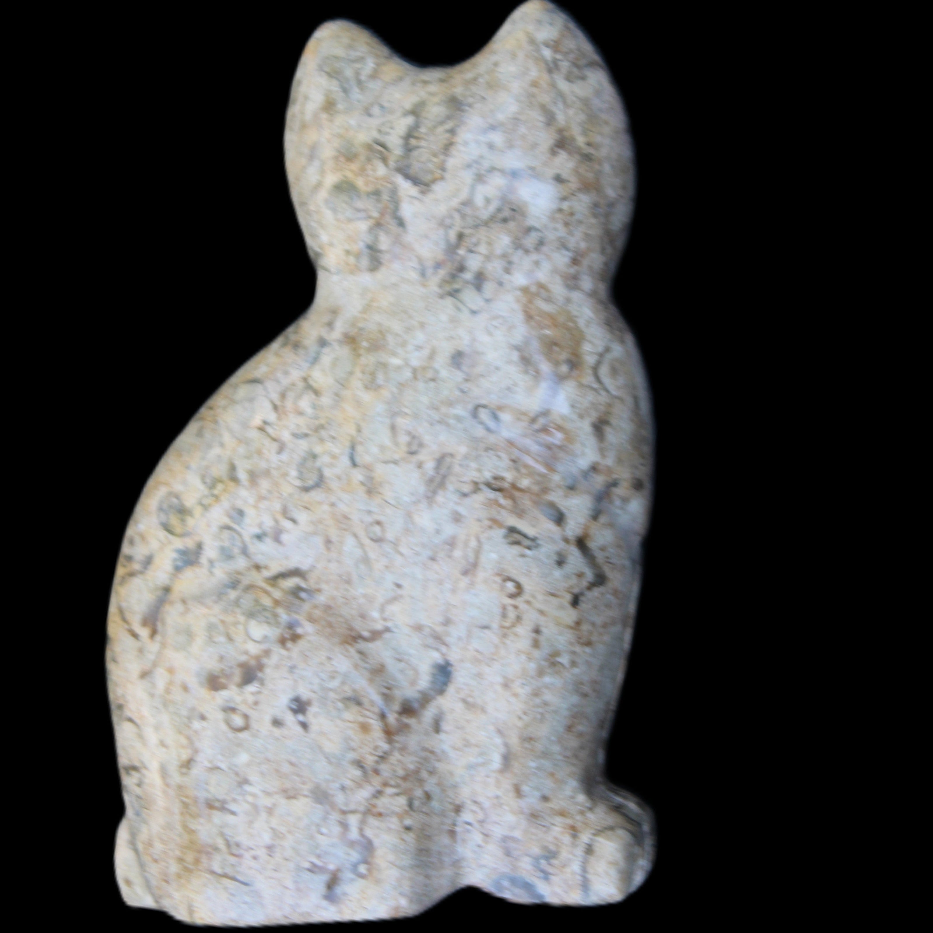 Fossil rock hand-carved Cat 76*48*124mm 407g in sunlight - Rocks and Things Store