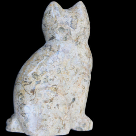 Fossil rock hand-carved Cat 76*48*124mm 407g in sunlight - Rocks and Things Store