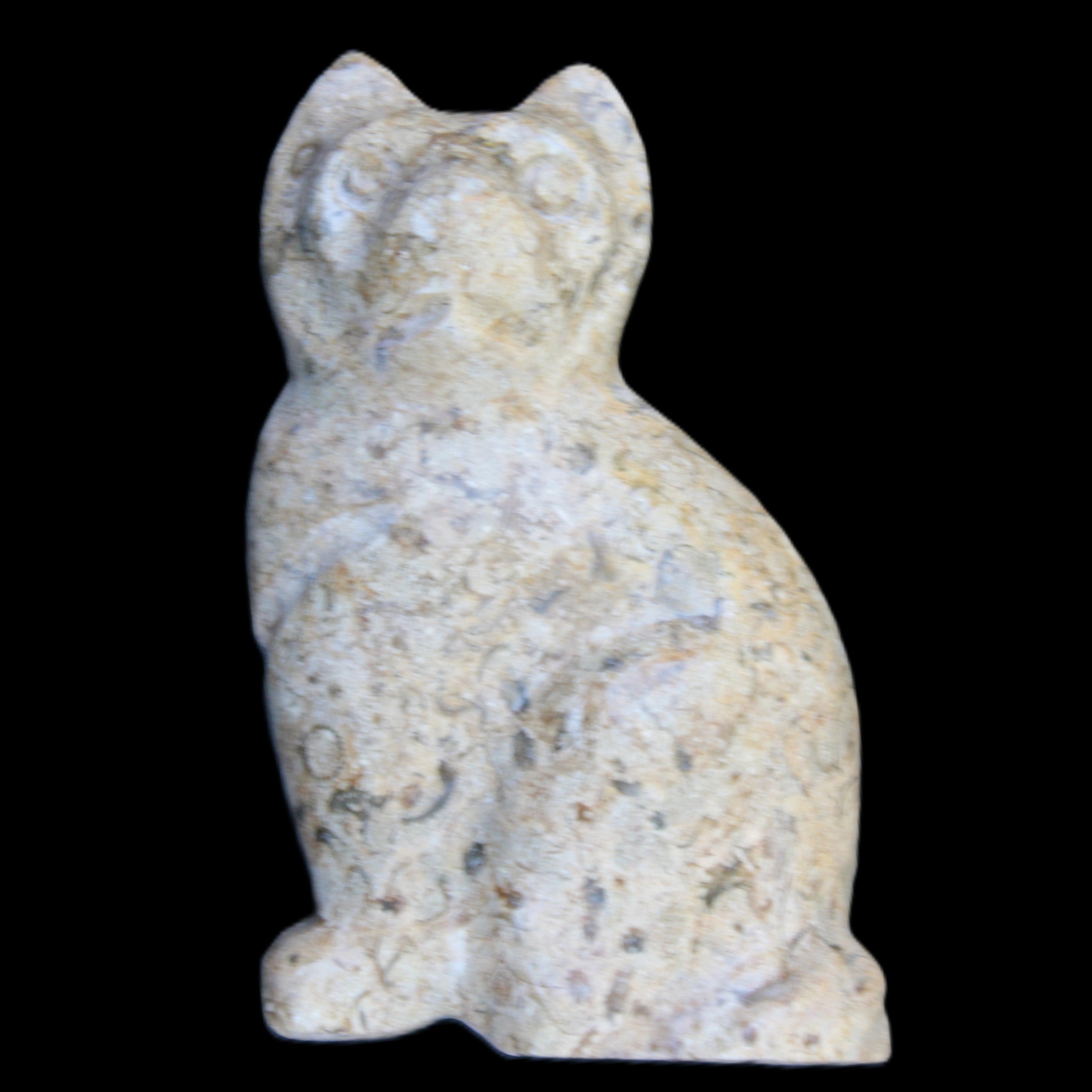 Fossil rock hand-carved Cat 76*48*124mm 407g in sunlight - Rocks and Things Store