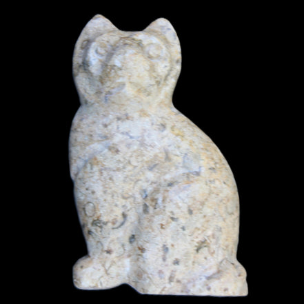 Fossil rock hand-carved Cat 76*48*124mm 407g in sunlight - Rocks and Things Store