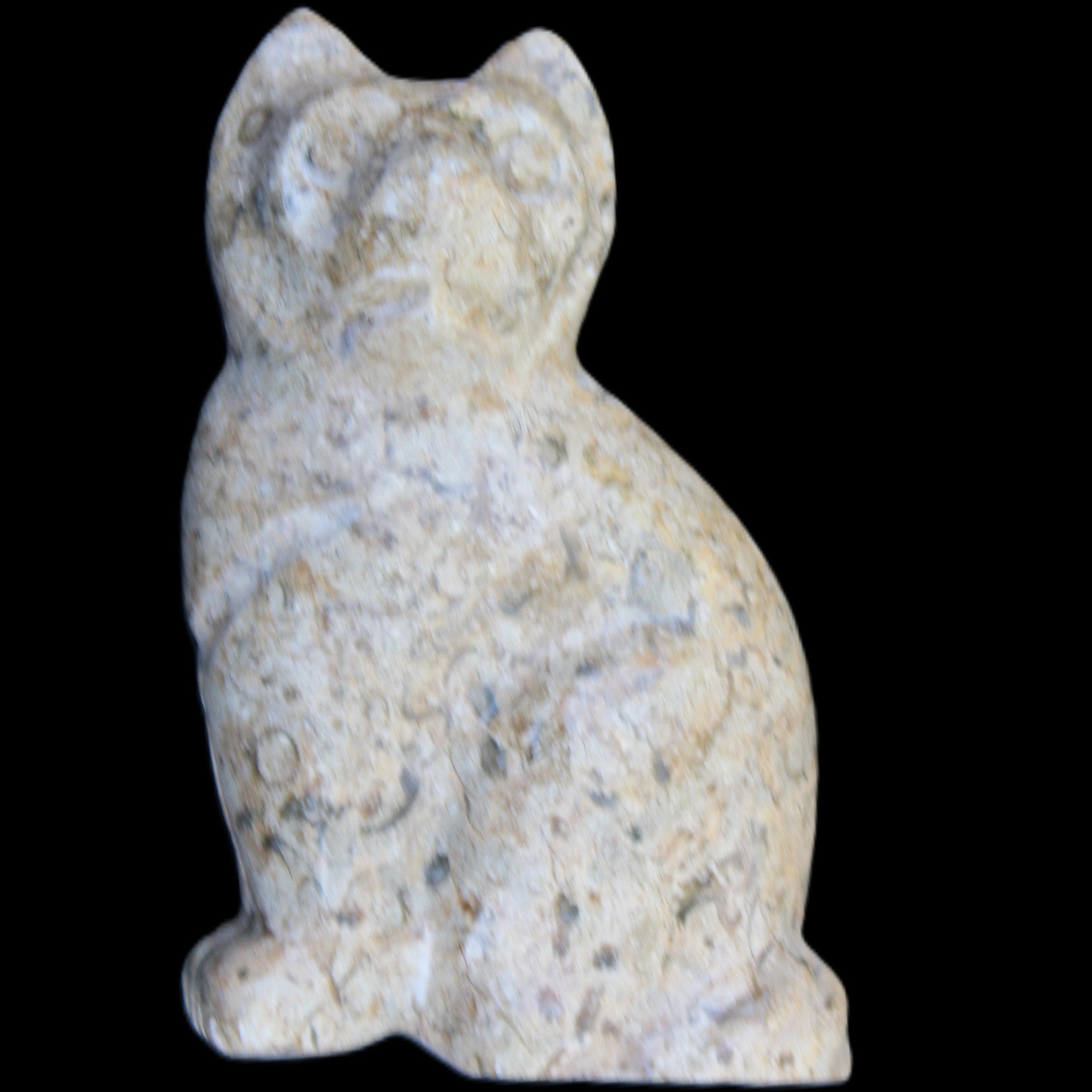 Fossil rock hand-carved Cat 76*48*124mm 407g in sunlight - Rocks and Things Store