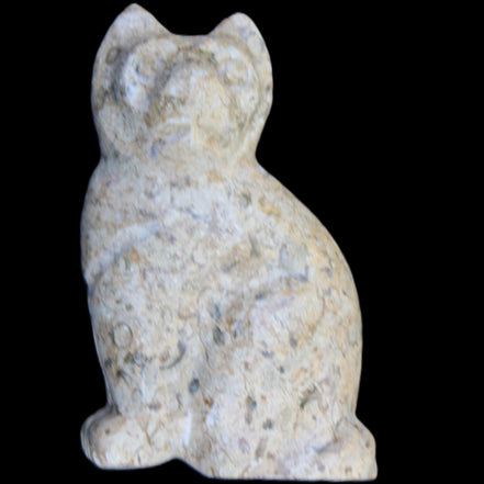 Fossil rock hand-carved Cat 76*48*124mm 407g in sunlight - Rocks and Things Store