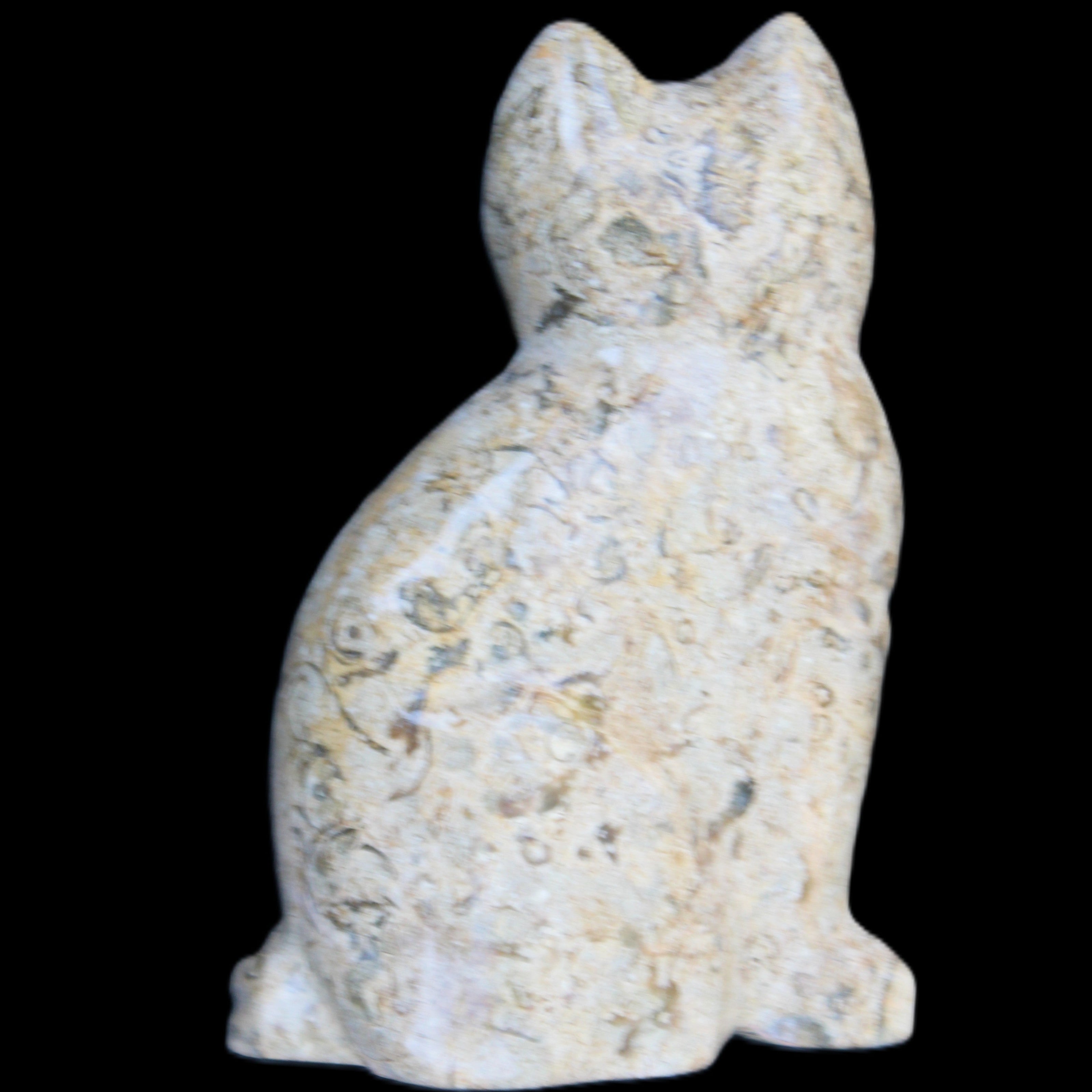 Fossil rock hand-carved Cat 76*48*124mm 407g in sunlight - Rocks and Things Store