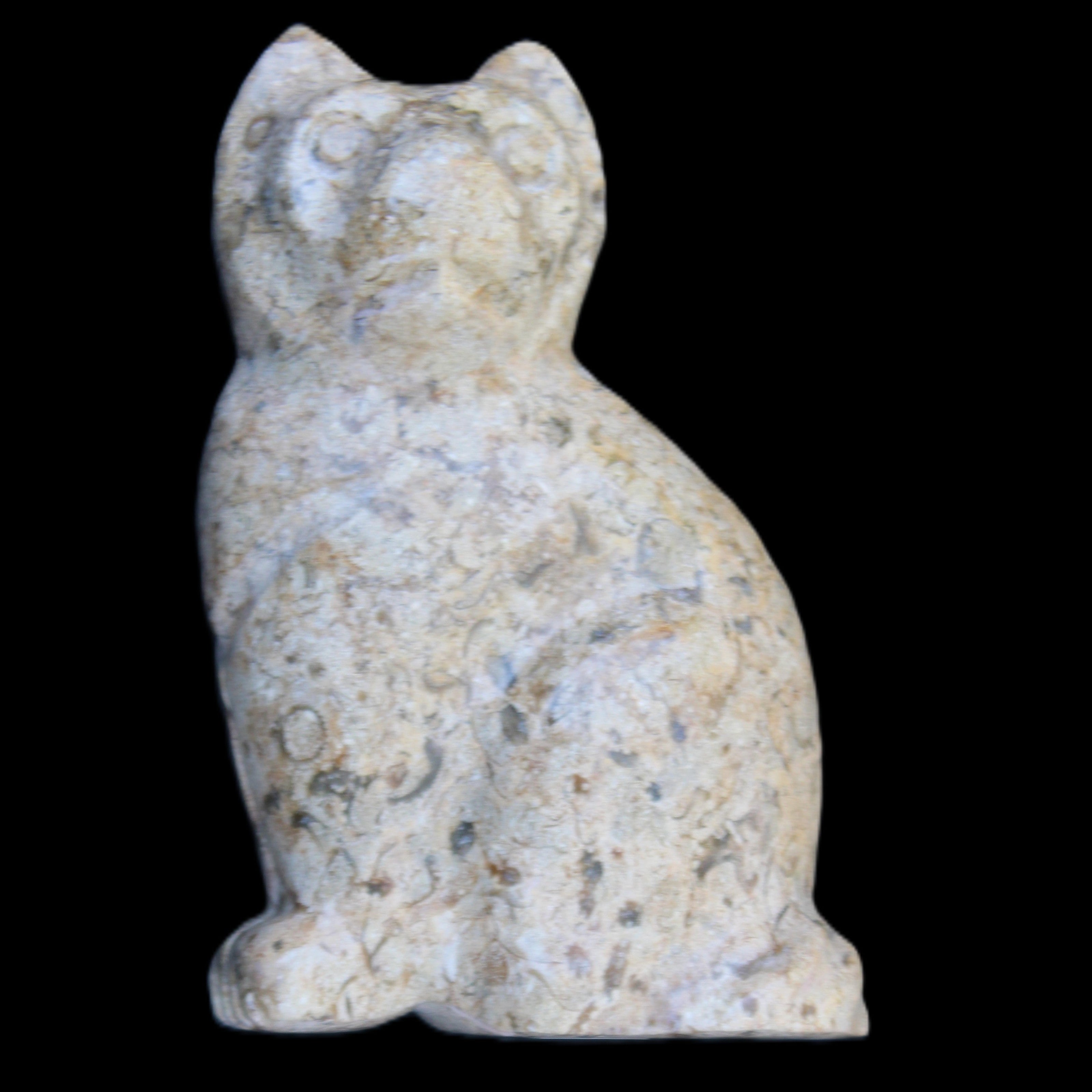 Fossil rock hand-carved Cat 76*48*124mm 407g in sunlight - Rocks and Things Store
