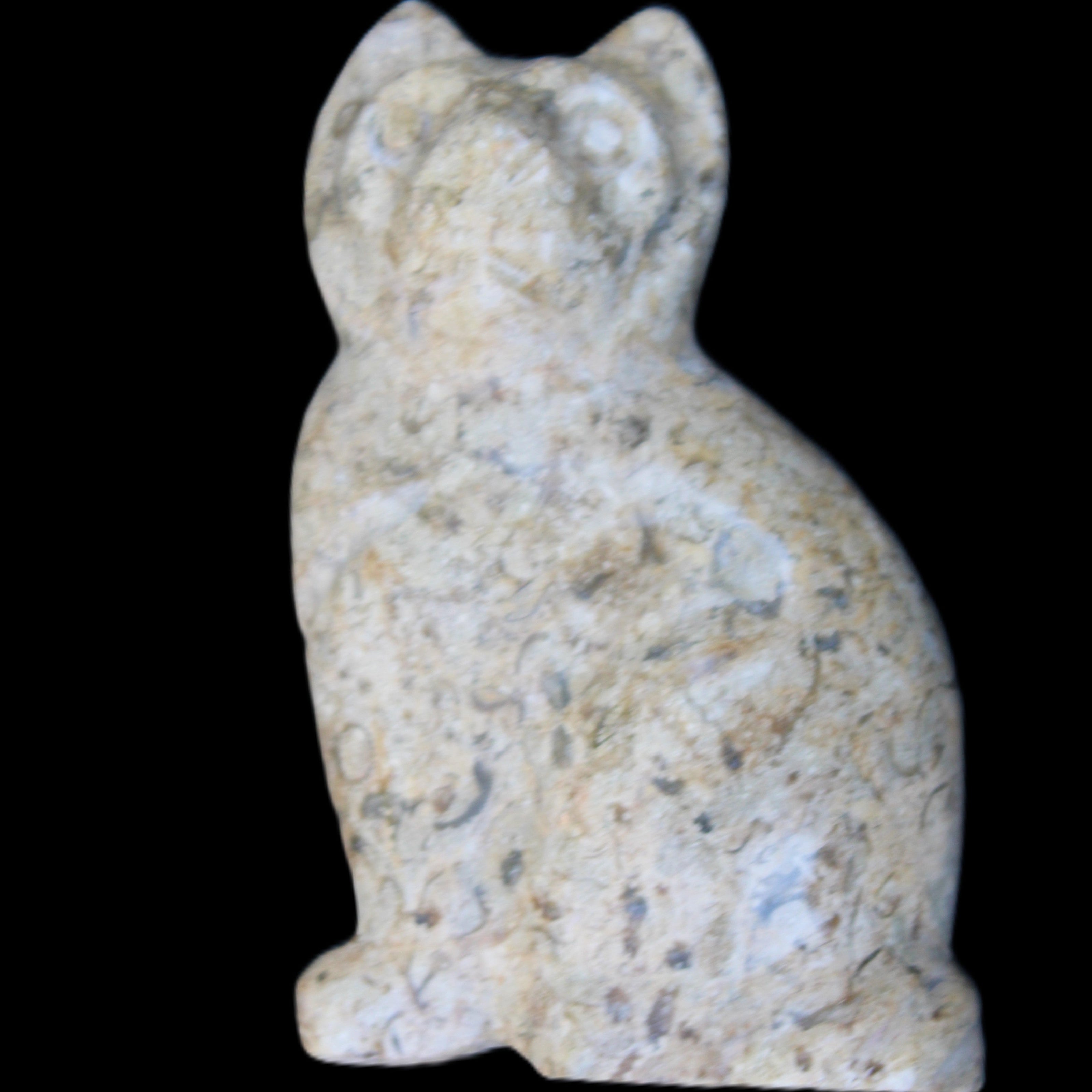 Fossil rock hand-carved Cat 76*48*124mm 407g in sunlight - Rocks and Things Store