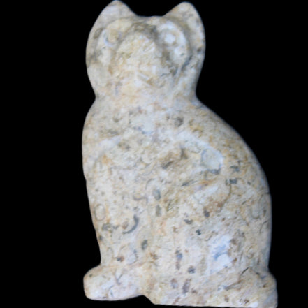 Fossil rock hand-carved Cat 76*48*124mm 407g in sunlight - Rocks and Things Store