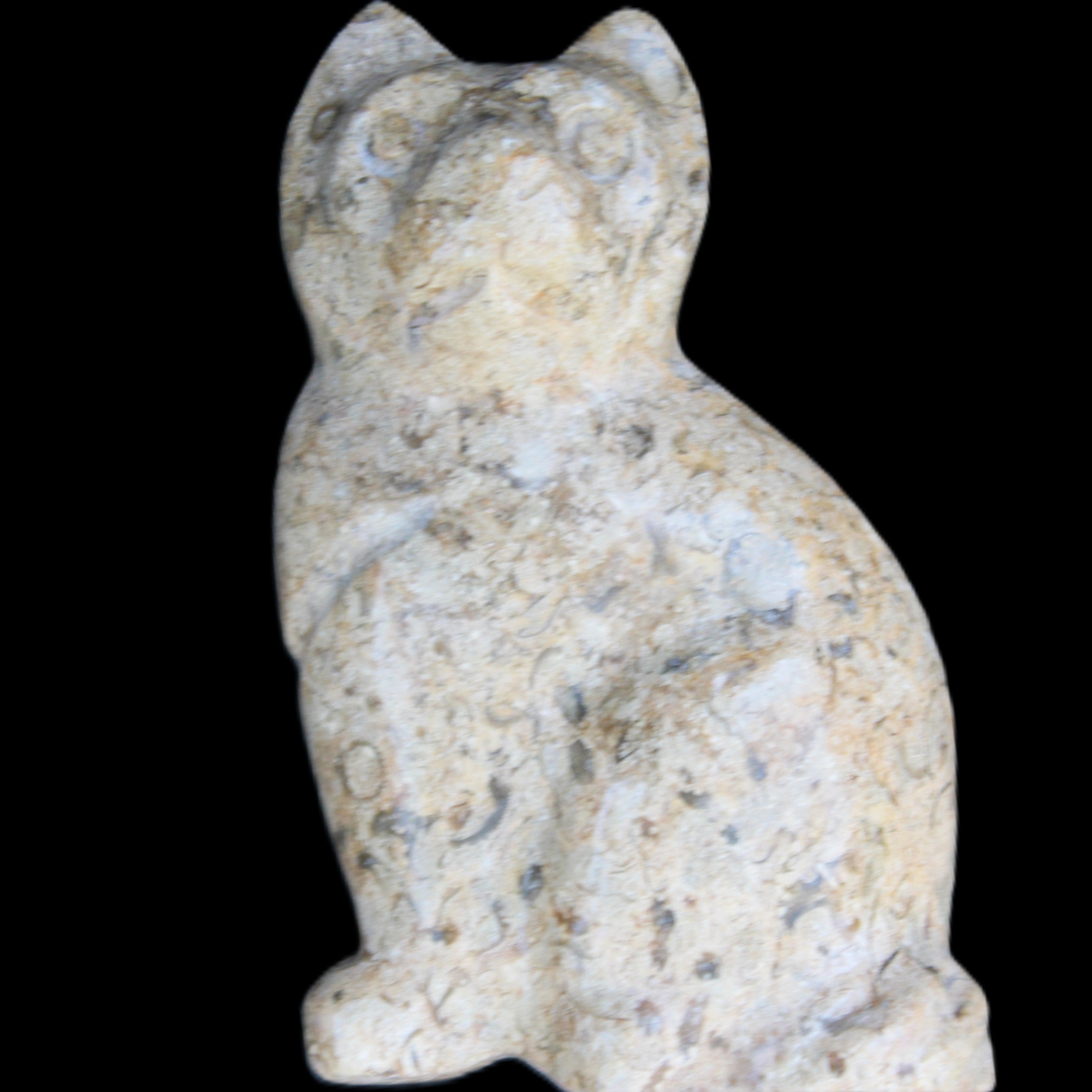 Fossil rock hand-carved Cat 76*48*124mm 407g in sunlight - Rocks and Things Store