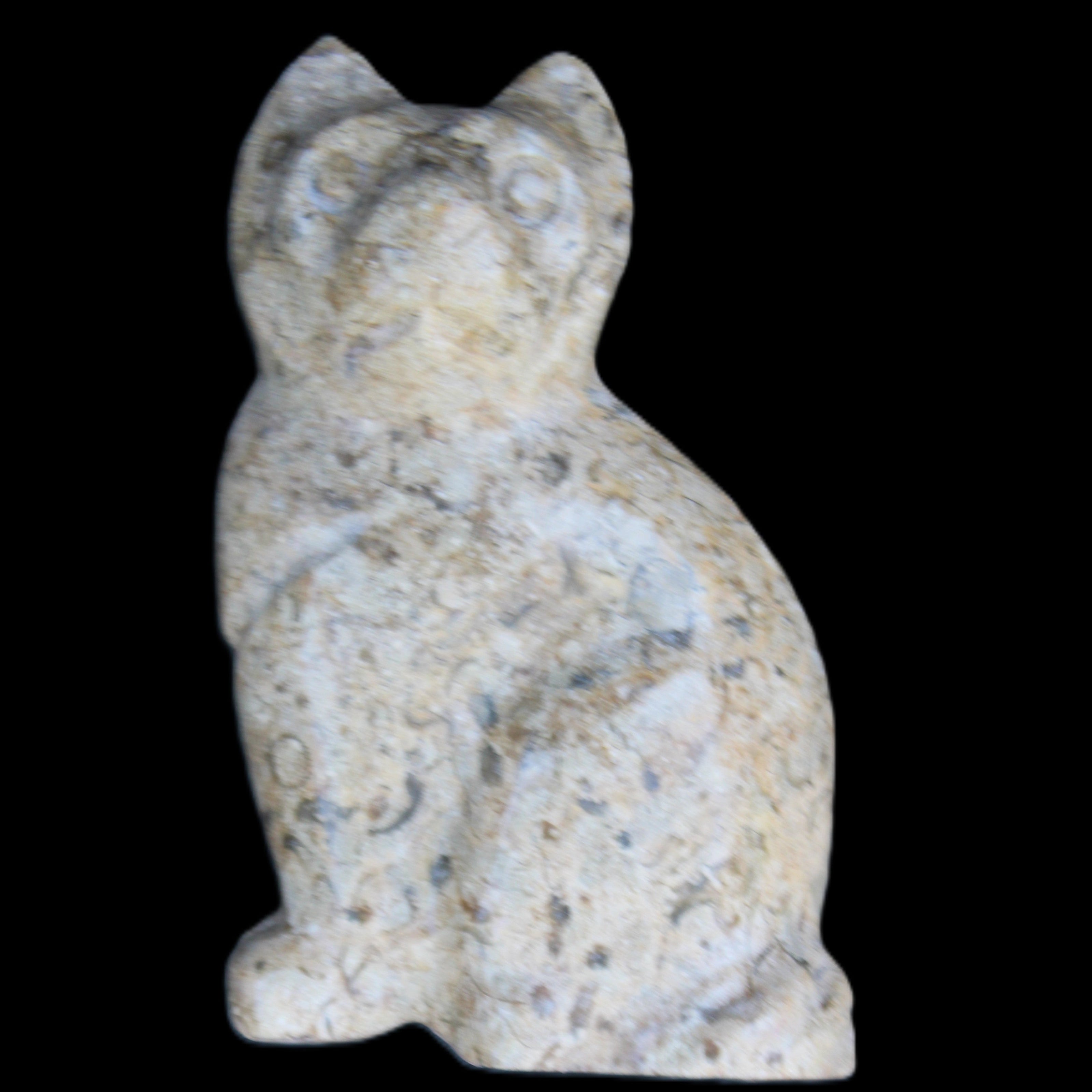 Fossil rock hand-carved Cat 76*48*124mm 407g in sunlight - Rocks and Things Store