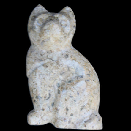 Fossil rock hand-carved Cat 76*48*124mm 407g in sunlight - Rocks and Things Store