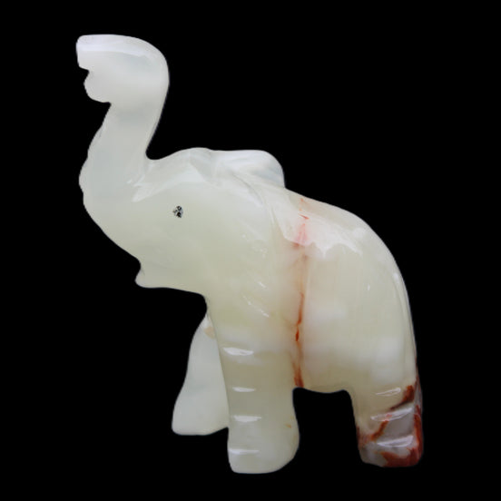 Afghan Jade hand-carved Elephant 78*33*111mm 248g in sunlight - Rocks and Things Store
