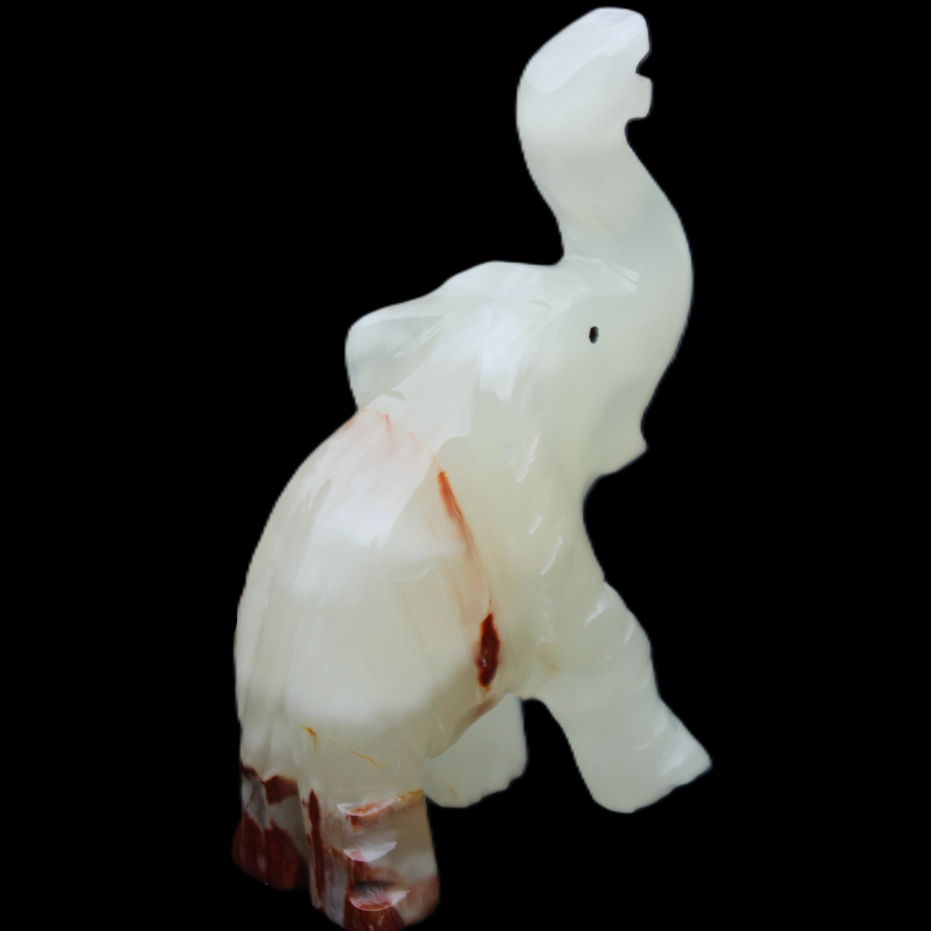 Afghan Jade hand-carved Elephant 78*33*111mm 248g in sunlight - Rocks and Things Store