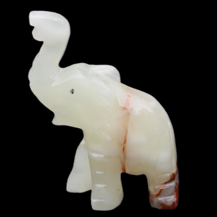 Afghan Jade hand-carved Elephant 78*33*111mm 248g in sunlight - Rocks and Things Store