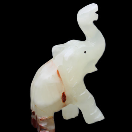 Afghan Jade hand-carved Elephant 78*33*111mm 248g in sunlight - Rocks and Things Store