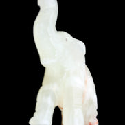 Afghan Jade hand-carved Elephant 78*33*111mm 248g in sunlight - Rocks and Things Store
