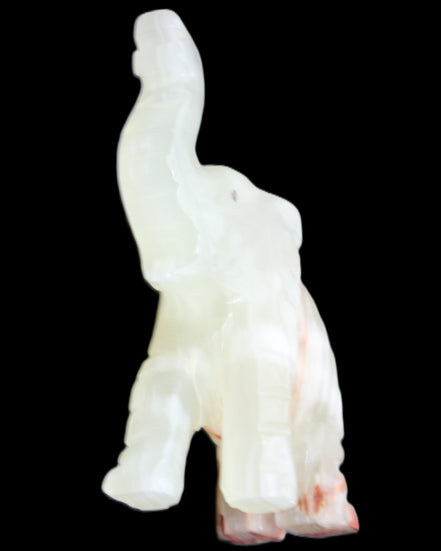 Afghan Jade hand-carved Elephant 78*33*111mm 248g in sunlight - Rocks and Things Store
