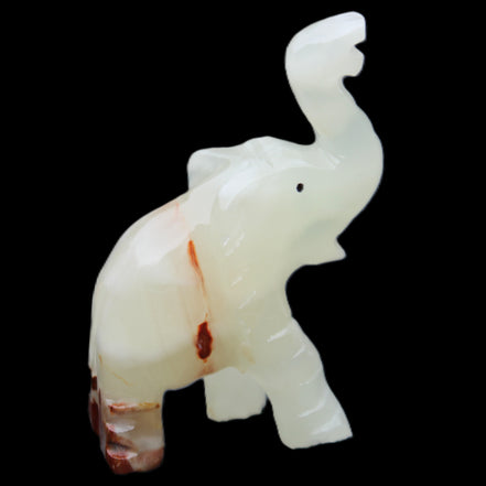 Afghan Jade hand-carved Elephant 78*33*111mm 248g in sunlight - Rocks and Things Store