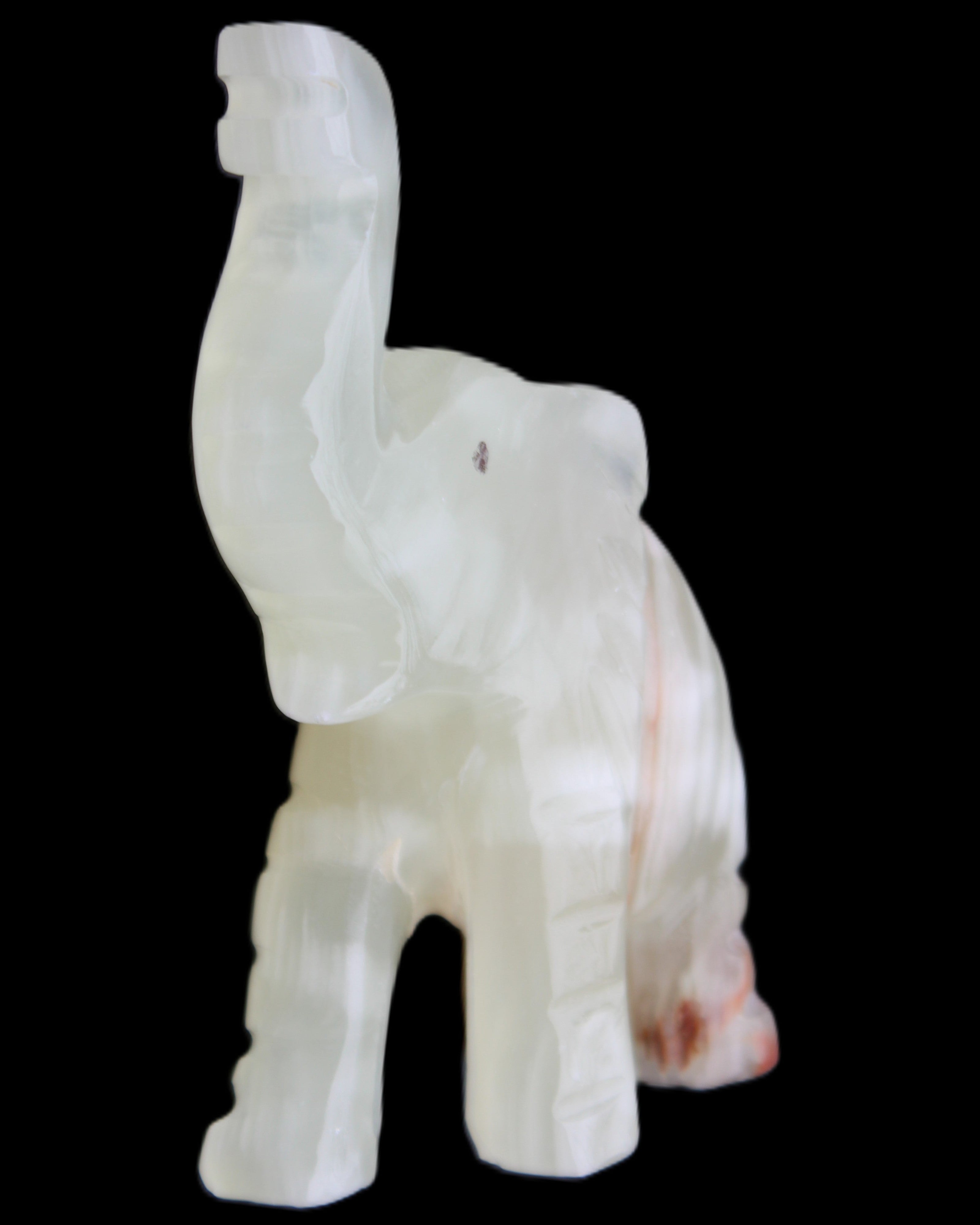 Afghan Jade hand-carved Elephant 78*33*111mm 248g in sunlight - Rocks and Things Store