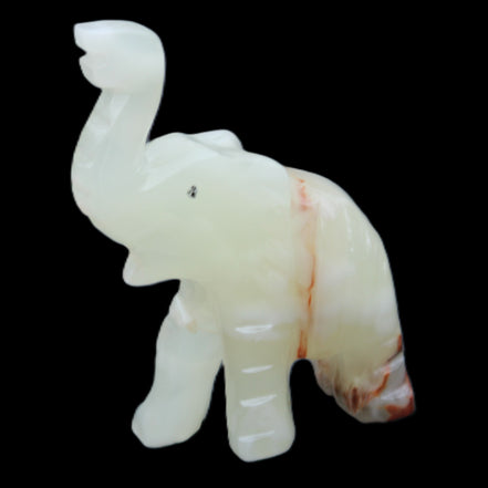Afghan Jade hand-carved Elephant 78*33*111mm 248g in sunlight - Rocks and Things Store
