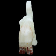 Afghan Jade hand-carved Elephant 78*33*111mm 248g in sunlight - Rocks and Things Store