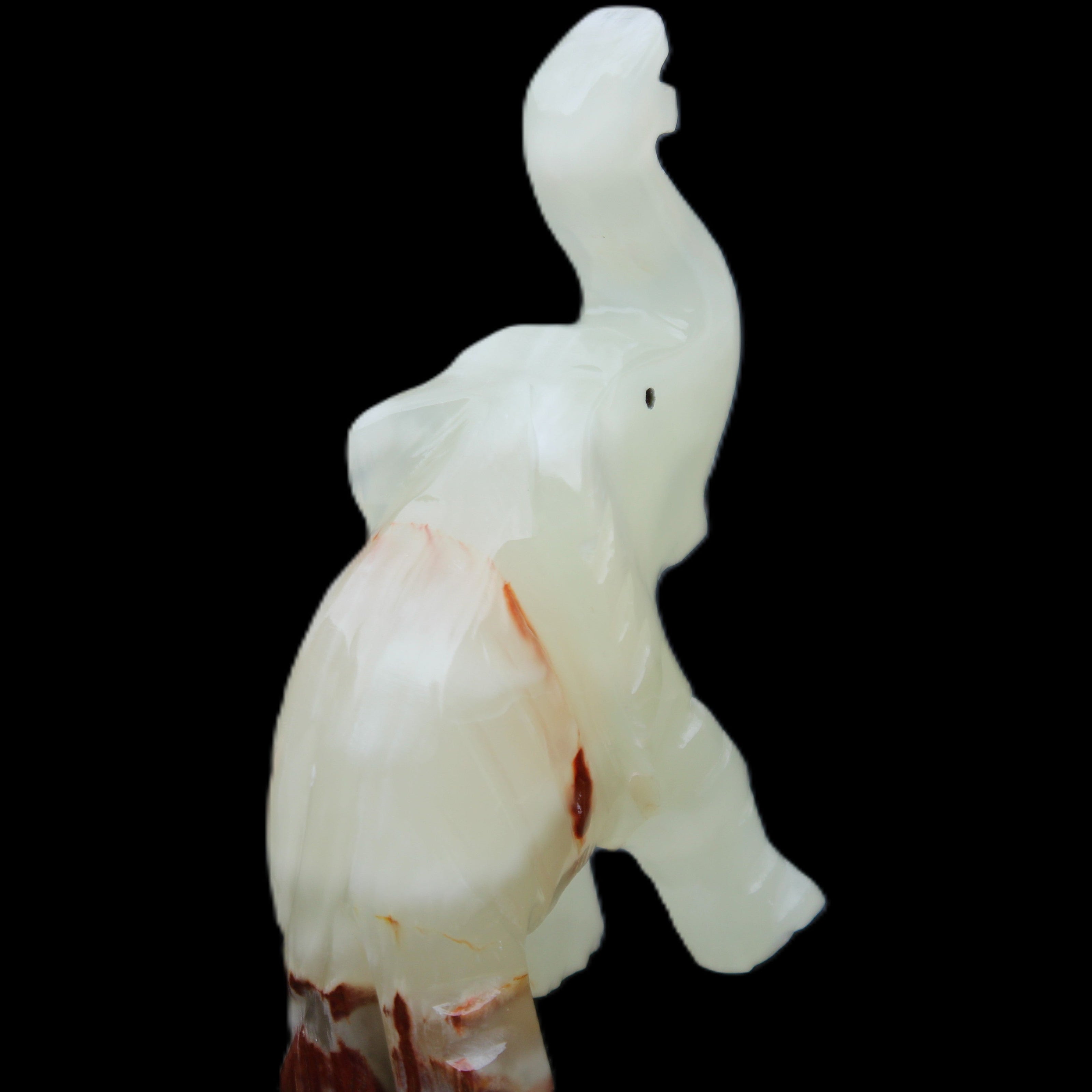 Afghan Jade hand-carved Elephant 78*33*111mm 248g in sunlight - Rocks and Things Store
