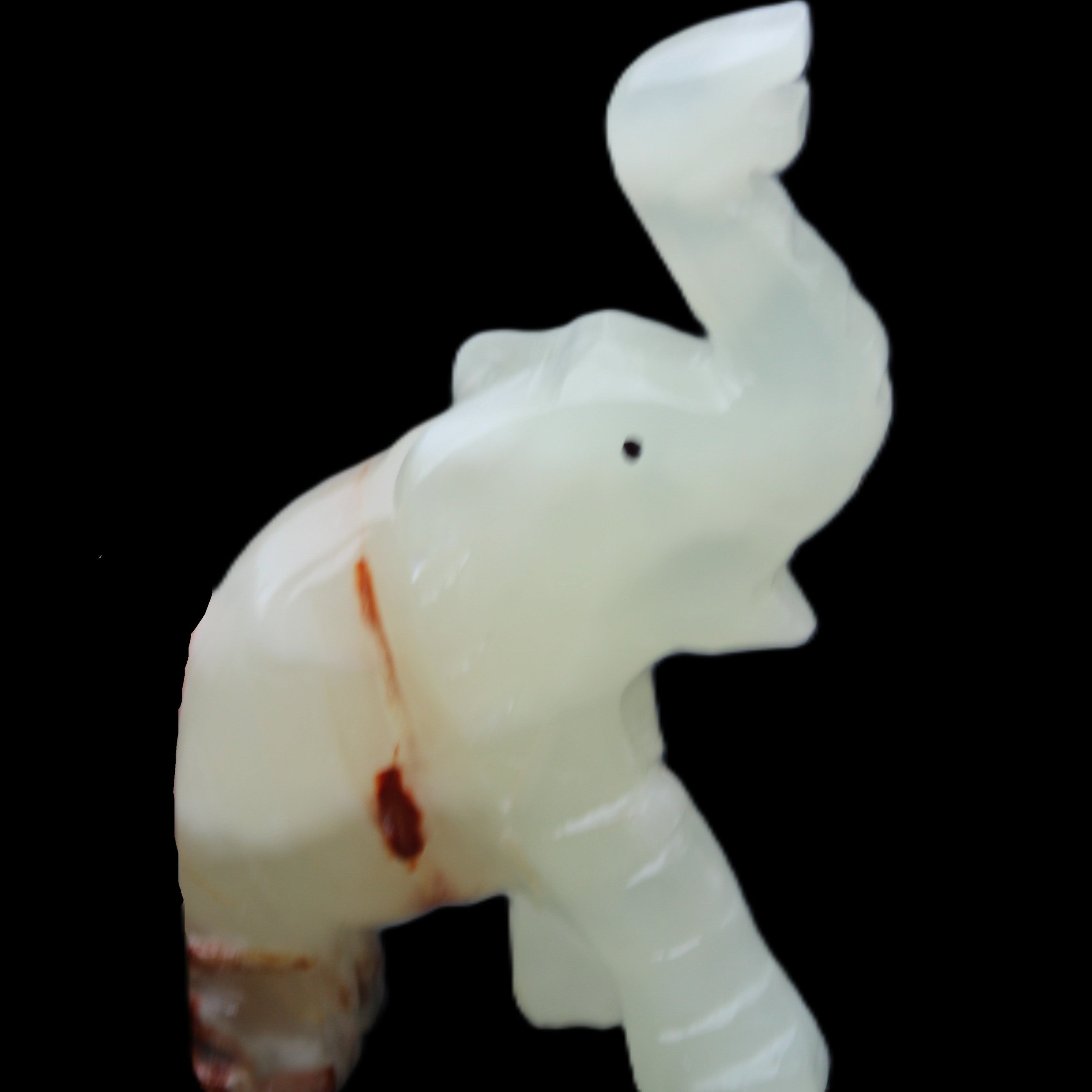Afghan Jade hand-carved Elephant 78*33*111mm 248g in sunlight - Rocks and Things Store