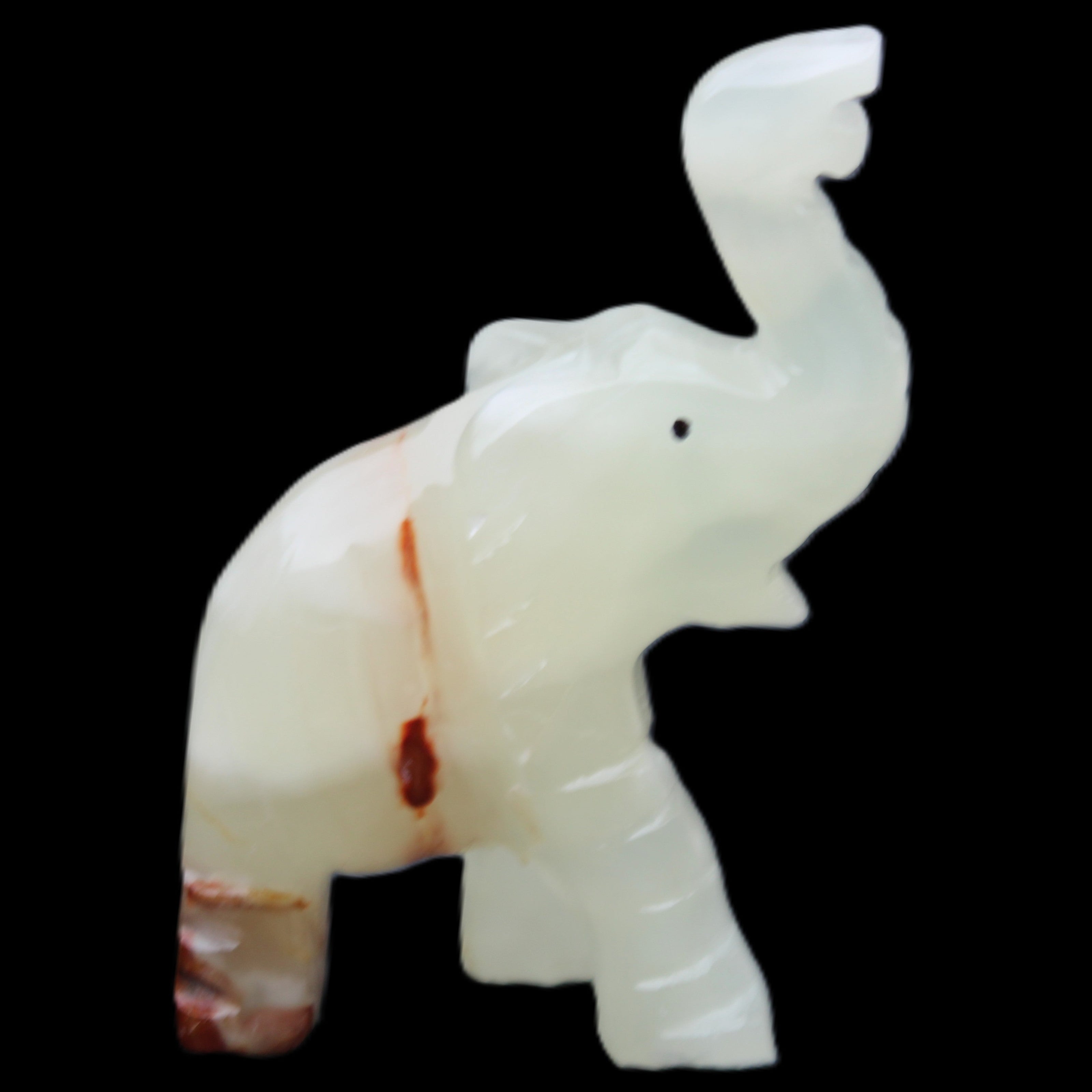 Afghan Jade hand-carved Elephant 78*33*111mm 248g in sunlight - Rocks and Things Store