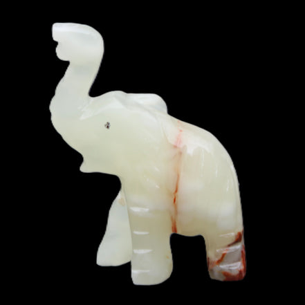 Afghan Jade hand-carved Elephant 78*33*111mm 248g in sunlight - Rocks and Things Store
