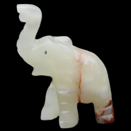 Afghan Jade hand-carved Elephant 78*33*111mm 248g in sunlight - Rocks and Things Store