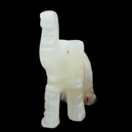 Afghan Jade hand-carved Elephant 78*33*111mm 248g in sunlight - Rocks and Things Store