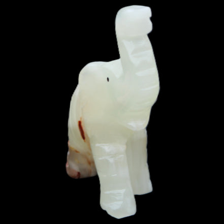 Afghan Jade hand-carved Elephant 78*33*111mm 248g in sunlight - Rocks and Things Store