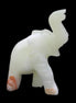 Afghan Jade hand-carved Elephant 65*29*111mm 225g in sunlight - Rocks and Things Store