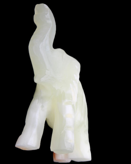 Afghan Jade hand-carved Elephant 65*29*111mm 225g in sunlight - Rocks and Things Store