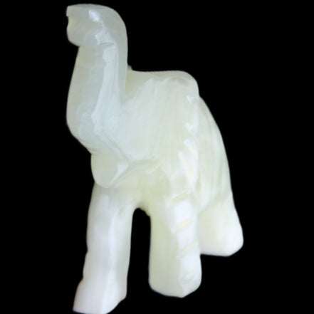 Afghan Jade hand-carved Elephant 65*29*111mm 225g in sunlight - Rocks and Things Store