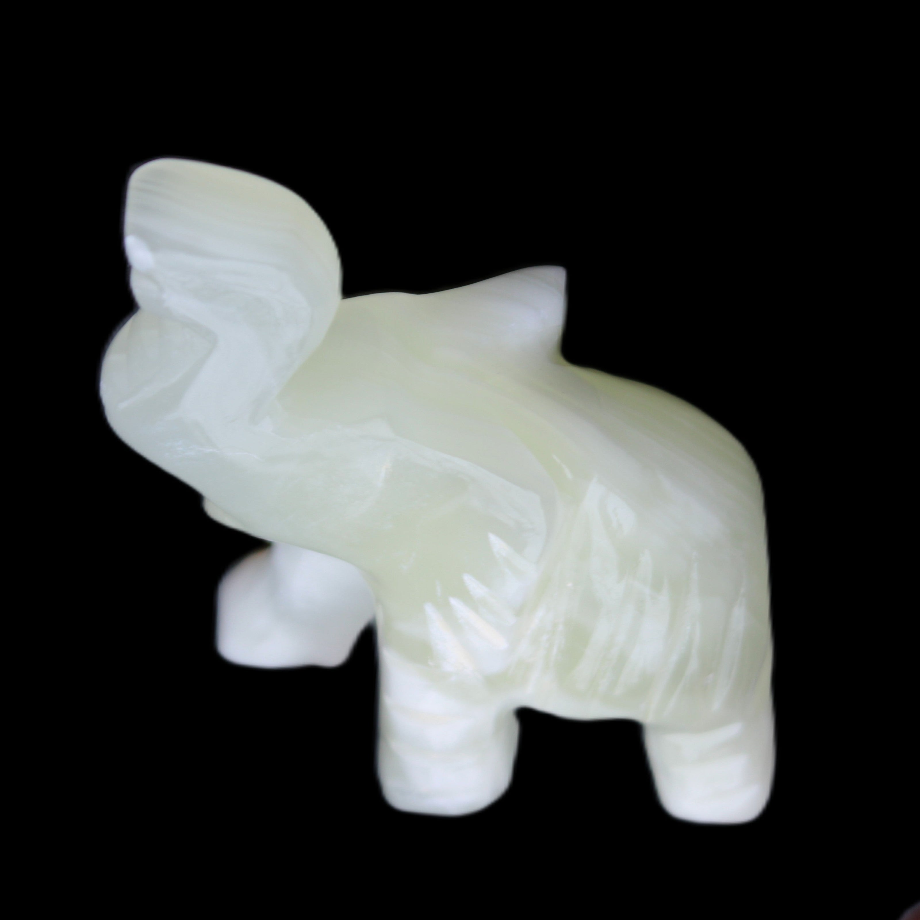 Afghan Jade hand-carved Elephant 65*29*111mm 225g in sunlight - Rocks and Things Store