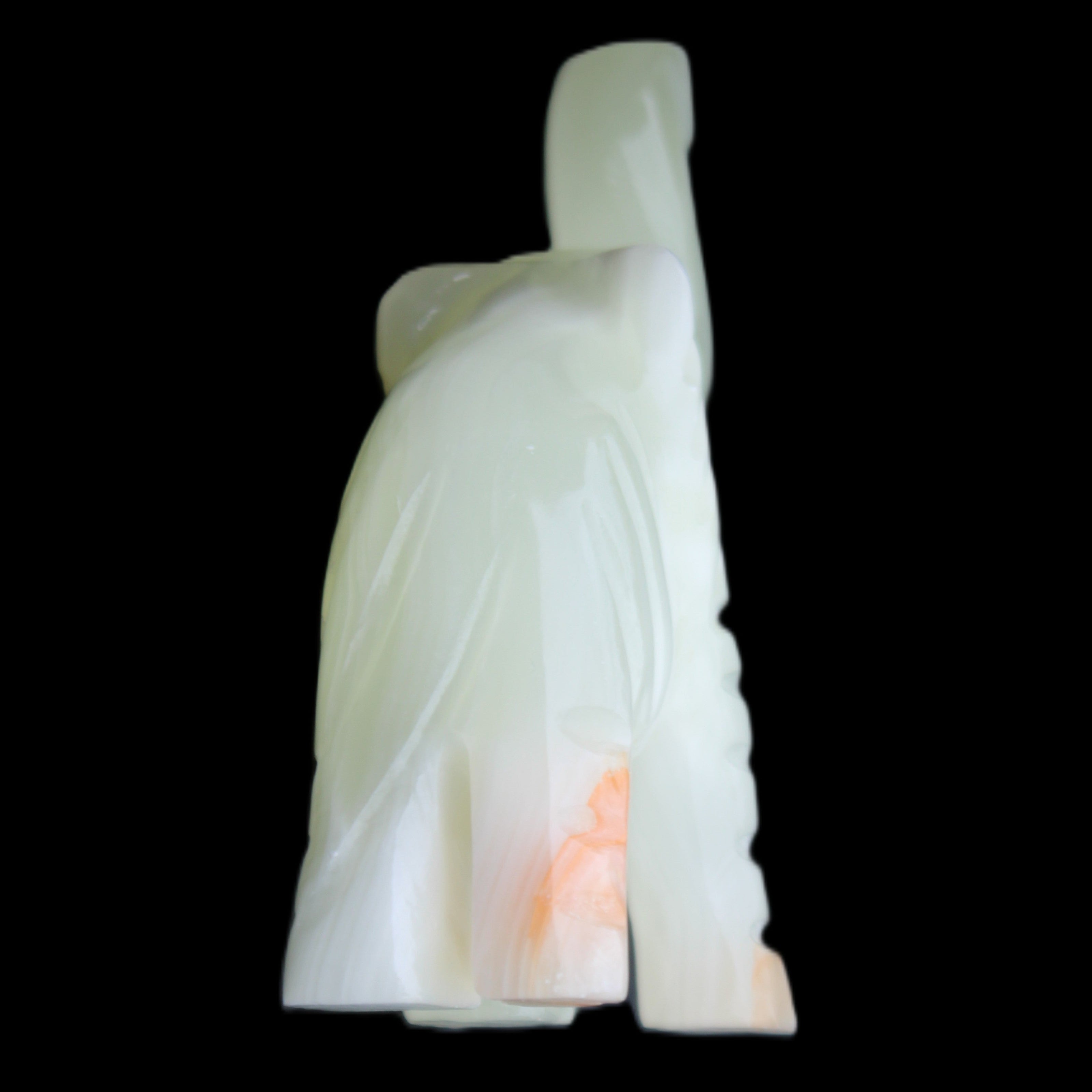 Afghan Jade hand-carved Elephant 65*29*111mm 225g in sunlight - Rocks and Things Store