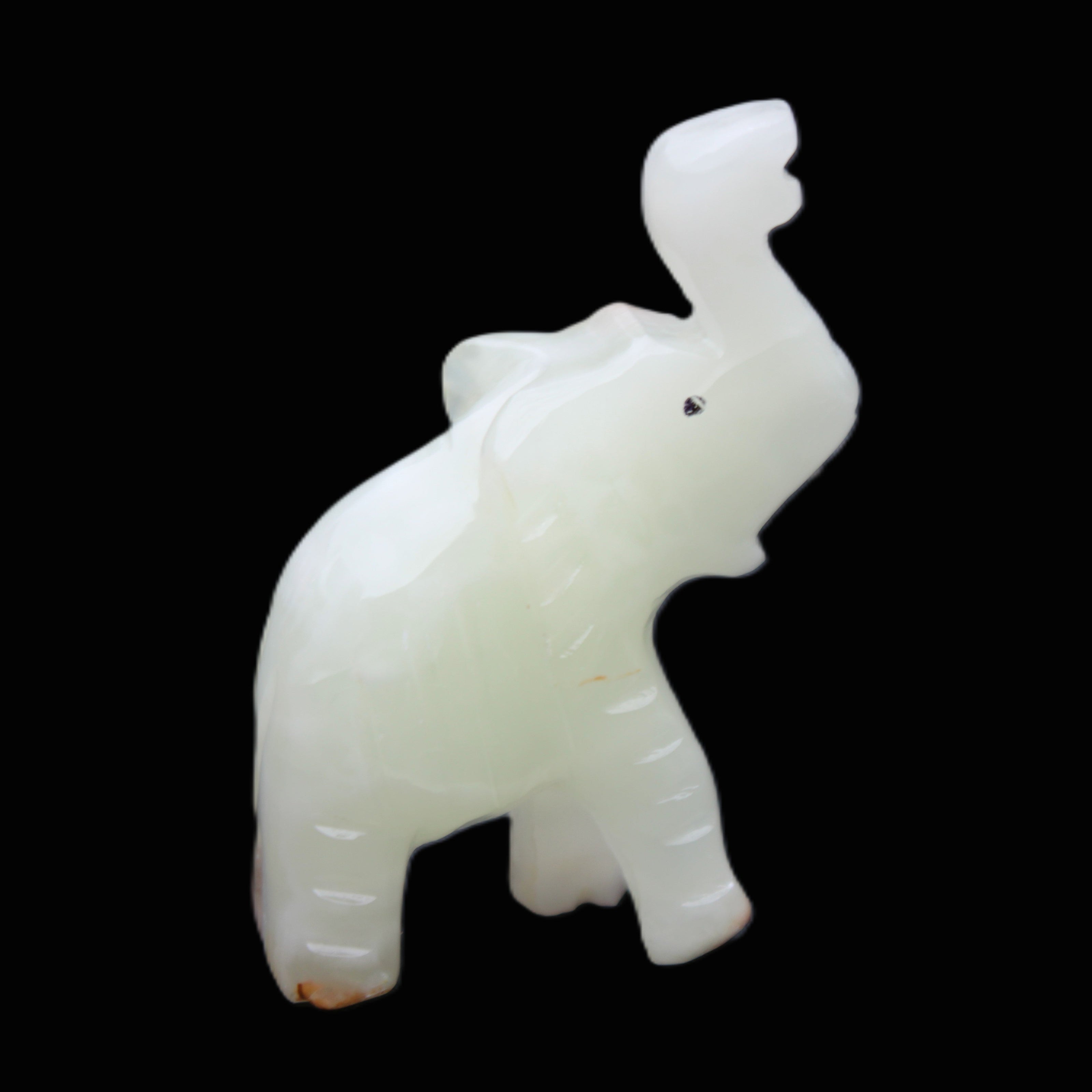 Afghan Jade hand-carved Elephant 68*28*110mm 225g in sunlight - Rocks and Things Store